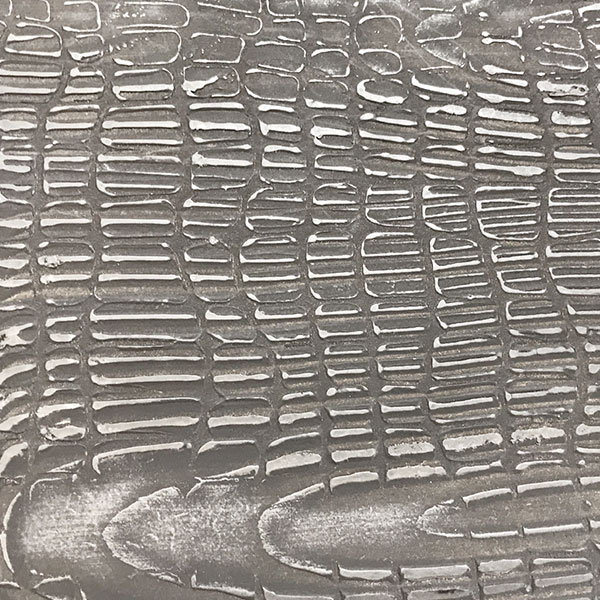 corteccia.jpg
